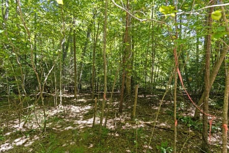 Blue Ridge, GA 30513 Fannin County