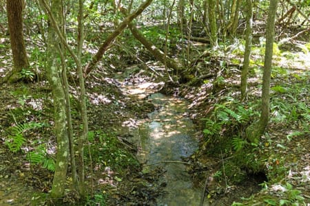 Blue Ridge, GA 30513 Fannin County