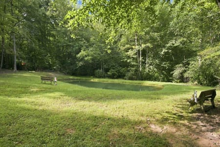 Blue Ridge, GA 30513 Fannin County