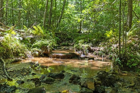 Blue Ridge, GA 30513 Fannin County