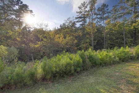 Greensboro, GA 30642 Greene County