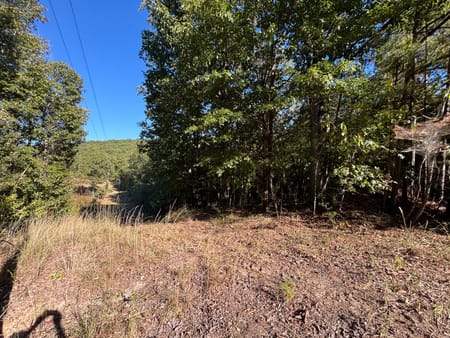 Meansville, GA 30256 Pike County