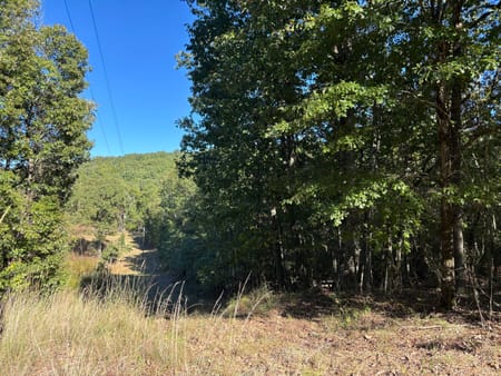 Meansville, GA 30256 Pike County