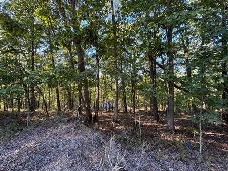 Meansville, GA 30256 Pike County