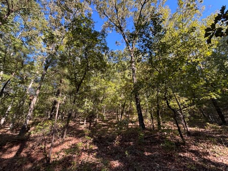 Meansville, GA 30256 Pike County