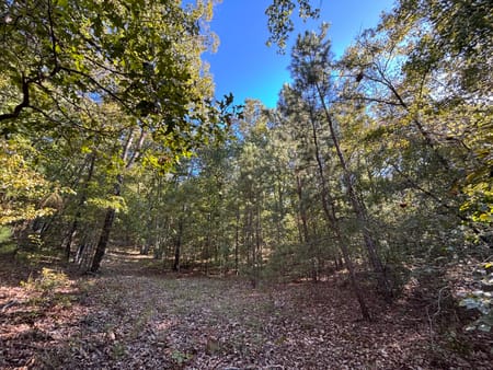 Meansville, GA 30256 Pike County