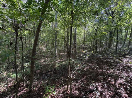 Dallas, GA 30157 Paulding County