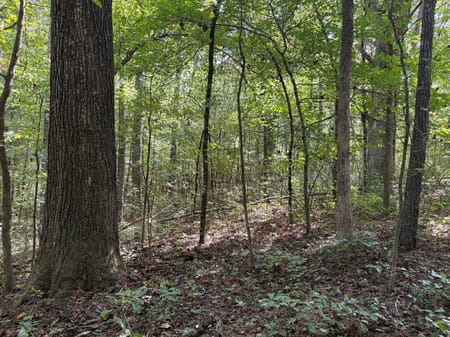 Dallas, GA 30157 Paulding County