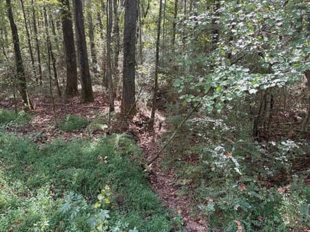Dallas, GA 30157 Paulding County