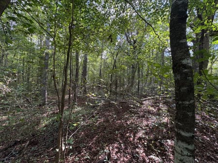 Dallas, GA 30157 Paulding County