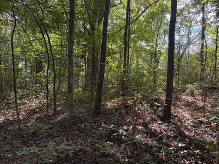 Dallas, GA 30157 Paulding County