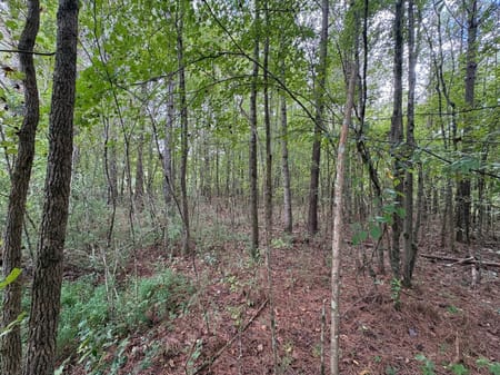 Dallas, GA 30157 Paulding County