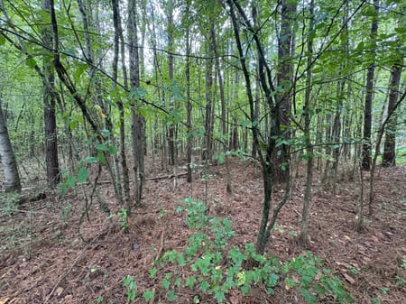 Dallas, GA 30157 Paulding County