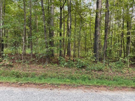 Dallas, GA 30157 Paulding County