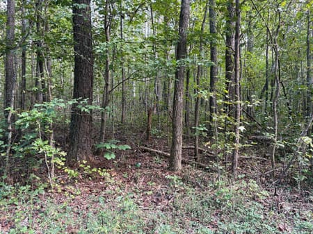 Dallas, GA 30157 Paulding County