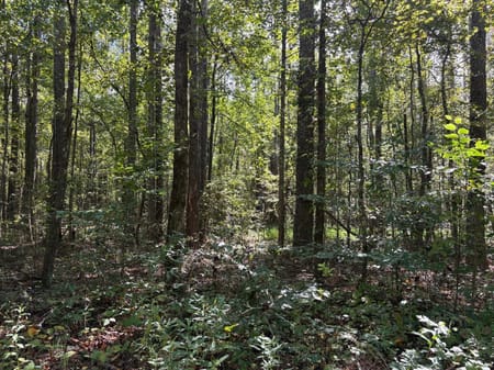 Dallas, GA 30157 Paulding County