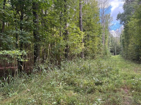 Dallas, GA 30157 Paulding County