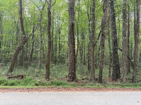 Dallas, GA 30157 Paulding County