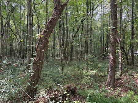 Dallas, GA 30157 Paulding County
