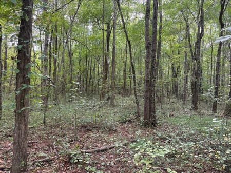 Dallas, GA 30157 Paulding County