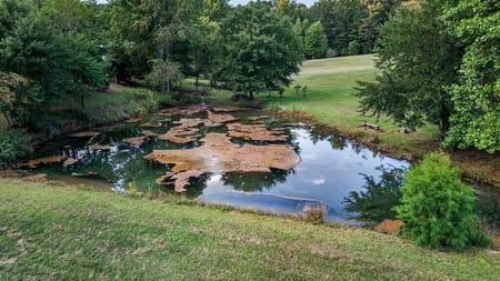 Mccaysville, GA 30555 Fannin County