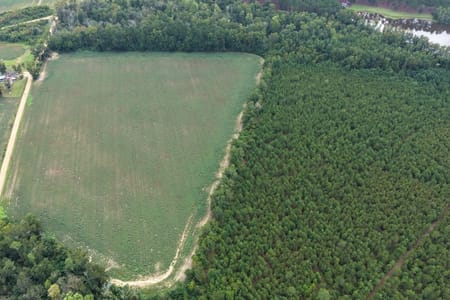 Metter, GA 30439 Candler County