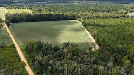 Metter, GA 30439 Candler County