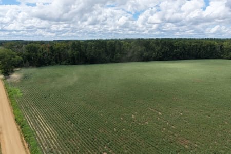 Metter, GA 30439 Candler County
