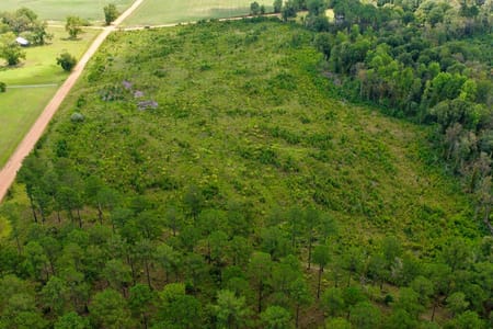 Metter, GA 30439 Candler County