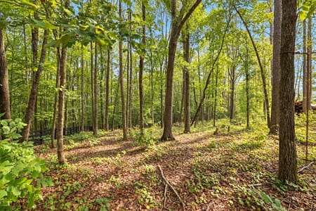 Ball Ground, GA 30107 Cherokee County