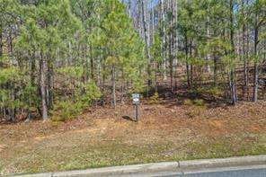 Alpharetta, GA 30004 Cherokee County