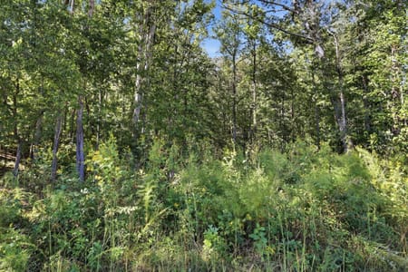Toccoa, GA 30577 Stephens County