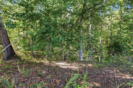 Toccoa, GA 30577 Stephens County