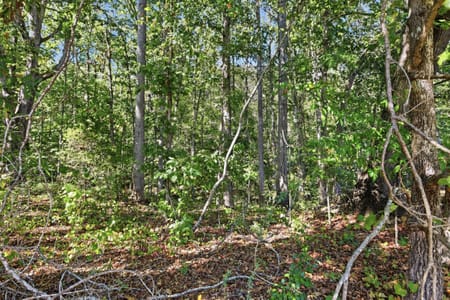 Toccoa, GA 30577 Stephens County