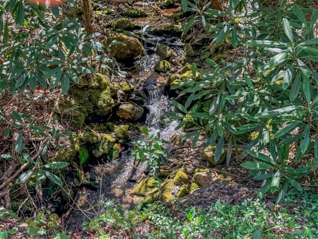 Rabun Gap, GA 30568 Rabun County