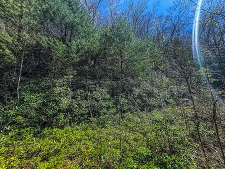 Rabun Gap, GA 30568 Rabun County