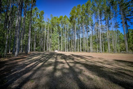 Mansfield, GA 30055 Newton County