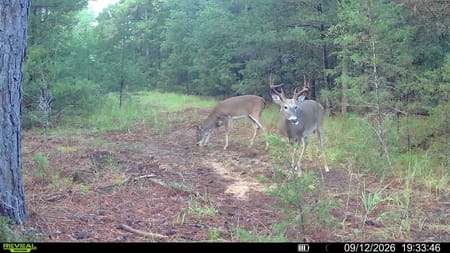 Elberton, GA 30635 Elbert County