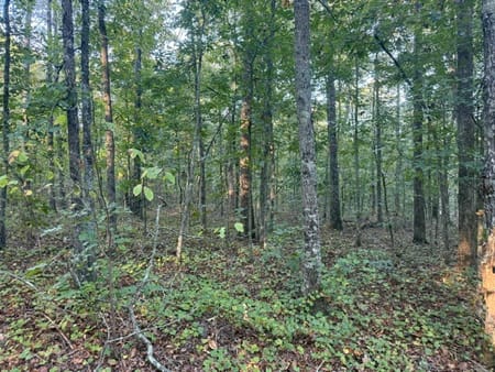 Adairsville, GA 30103 Bartow County