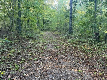 Adairsville, GA 30103 Bartow County