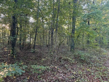 Adairsville, GA 30103 Bartow County