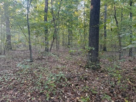 Adairsville, GA 30103 Bartow County
