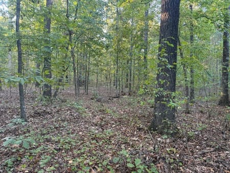 Adairsville, GA 30103 Bartow County