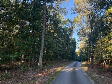 Adairsville, GA 30103 Bartow County