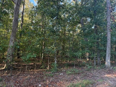 Adairsville, GA 30103 Bartow County