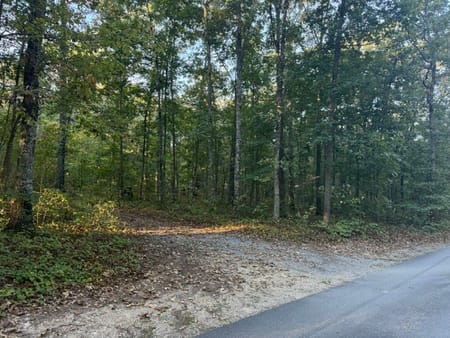 Adairsville, GA 30103 Bartow County