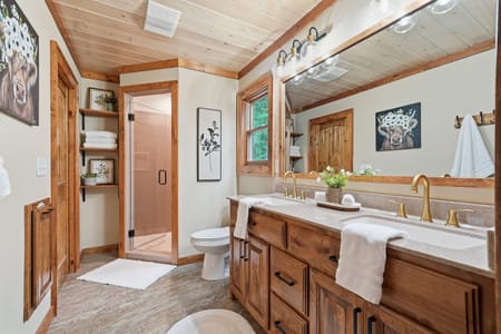 Mineral Bluff, GA 30559 Fannin County