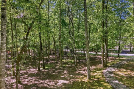 Sautee Nacoochee, GA 30571 White County
