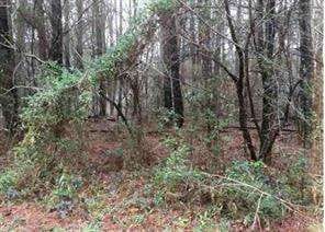 Jonesboro, GA 30236 Clayton County