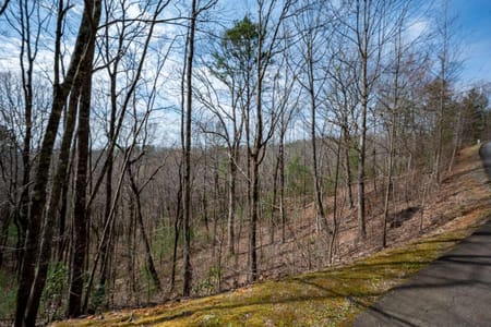 Ellijay, GA 30540 Gilmer County